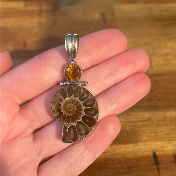 Ammonite and Citrine pendant - Picture 1 of 4